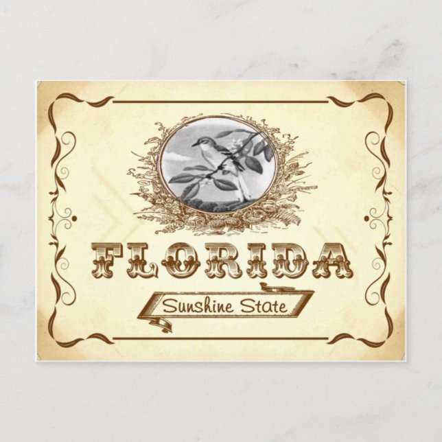 Vieja postal de Florida de 1910 (Anverso)