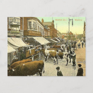 Vieja postal - Día del Mercado, Watford, Herts