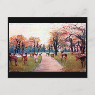 Vieja postal - Greenwich Park, Londres