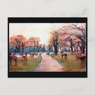 Vieja postal - Greenwich Park, Londres