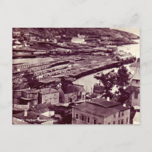 Vieja postal - Puerto Petty, Terranova