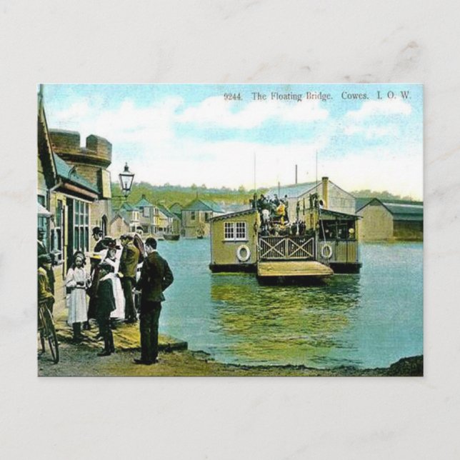 Vieja postal - Vacas, Isla de Wight (Anverso)
