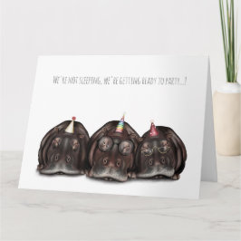 Vieja tarjeta de cumpleaños de Hippos Sleepy!