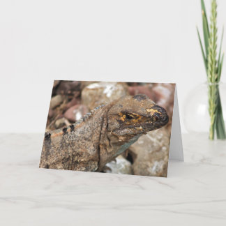 Vieja tarjeta de cumpleaños de Lizard