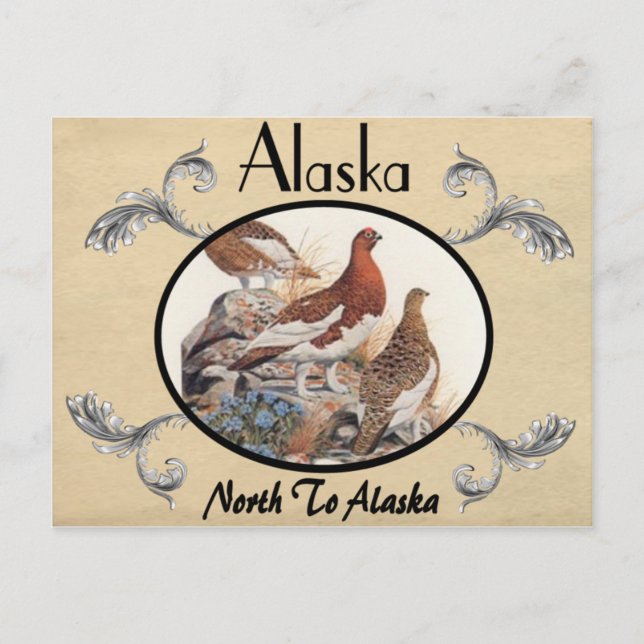 Vieja tarjeta postal antigua Alaska (Anverso)