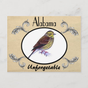 Vieja tarjeta postal antigua Estado de Alabama