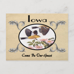 Vieja tarjeta postal antigua Iowa State