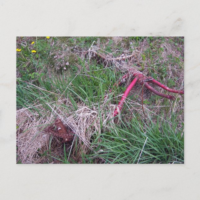 Vieja tarjeta postal roja para bicicletas (Anverso)