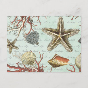 Viejas casetas de mar... postal