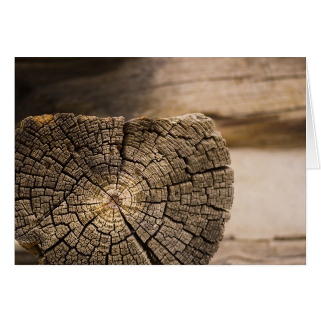 Viejas texturas de cabina (Anverso (Horizontal))