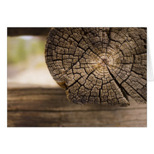Viejas texturas de madera de cabaña
