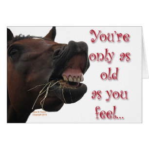 Viejo como usted sienta el caballo divertido