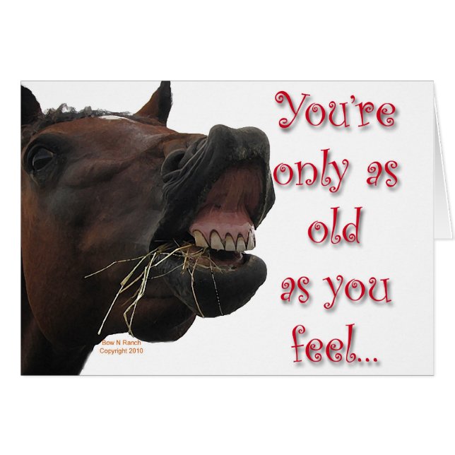 Viejo como usted sienta el caballo divertido (Anverso (Horizontal))