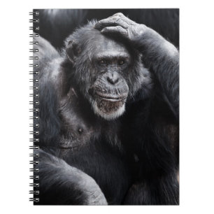 Viejo cuaderno de Chimpanzee