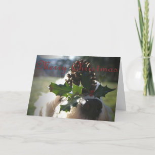 Viejo navidad inglés del perro pastor