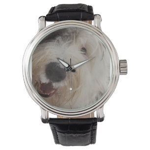 Viejo reloj de perro pastor inglés - Cara de nieve