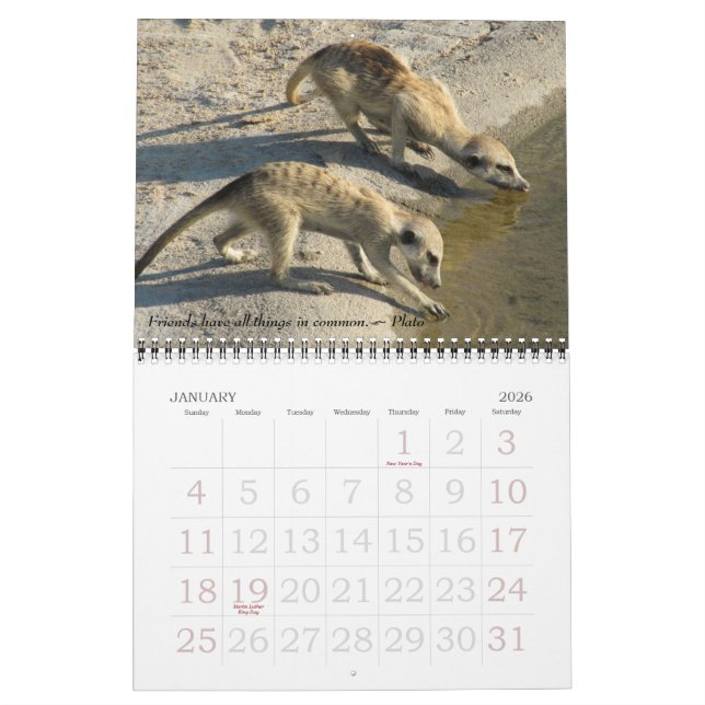 Viejos amigos, nuevos amigos - calendario 2011 de (Jan 2026)