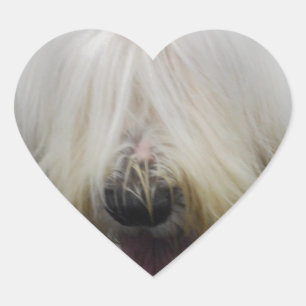 Viejos pegatinas ingleses lindos del perro pastor