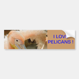 Viendo El Pegatina Pelican Bumper