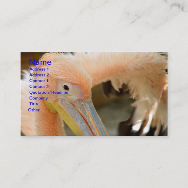 Viendo la tarjeta Pelican Business Card (Anverso)