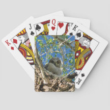 Viendo que juegas a las cartas