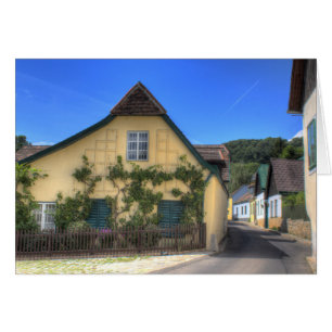 Viendo Viena Austria