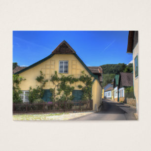 Viendo Viena Austria