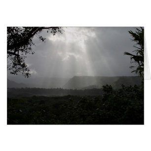 Vigas de luz