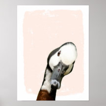 Vigila el arte de la pared de un puerco de pato