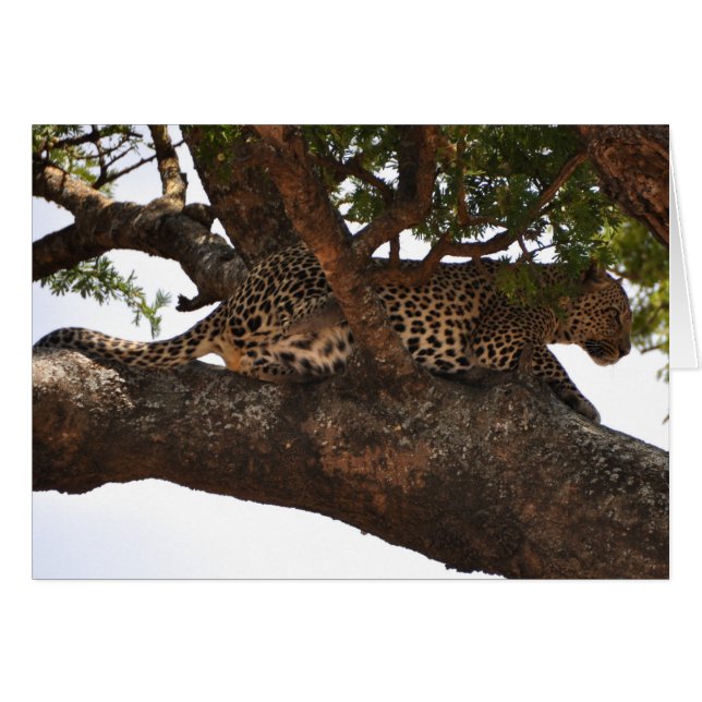 Vigilante (Anverso (Horizontal))