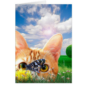 Vigilante de la mariposa