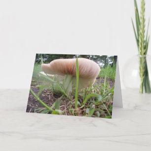"Village Mushroom #2" Tarjeta de Pascua