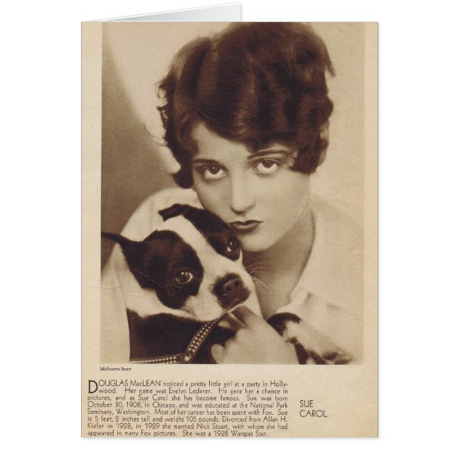 Villancico de Sue con Boston Terrier (Frente)