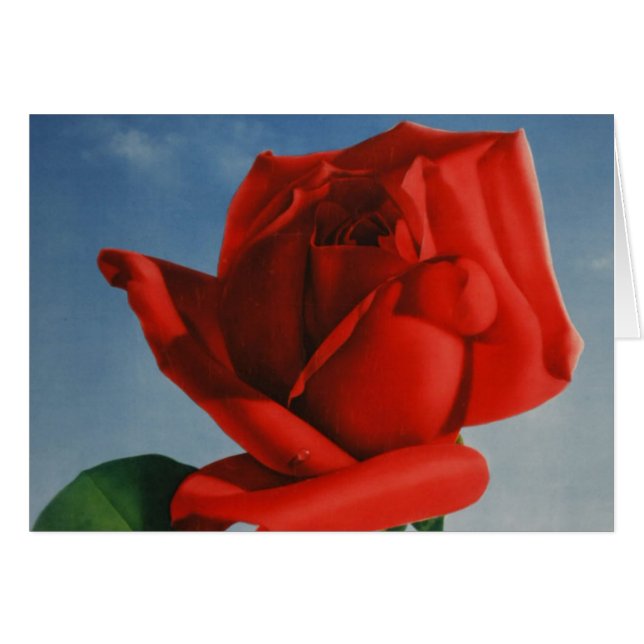 Viñage Montreux Red Rose Suiza Lago Ginebra (Anverso (Horizontal))