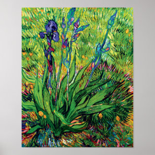 Vincent Van Gogh - El Iris - Arte Pop de Amante de