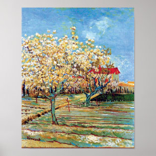 Vincent Van Gogh - Huerto en Flor Arte Fino