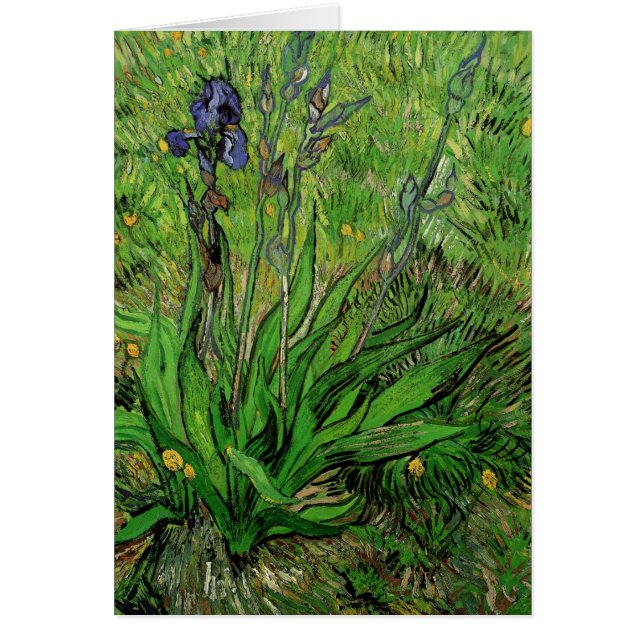 Vincent van Gogh - Iris (Frente)