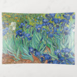 Vincent Van Gogh - Irises<br><div class="desc">Irises / Iris - Vincent Van Gogh, 1889</div>