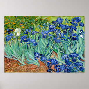 Vincent van Gogh - Irises - Arte famoso