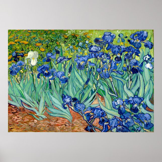 Vincent van Gogh - Irises - Arte famoso (Frente)