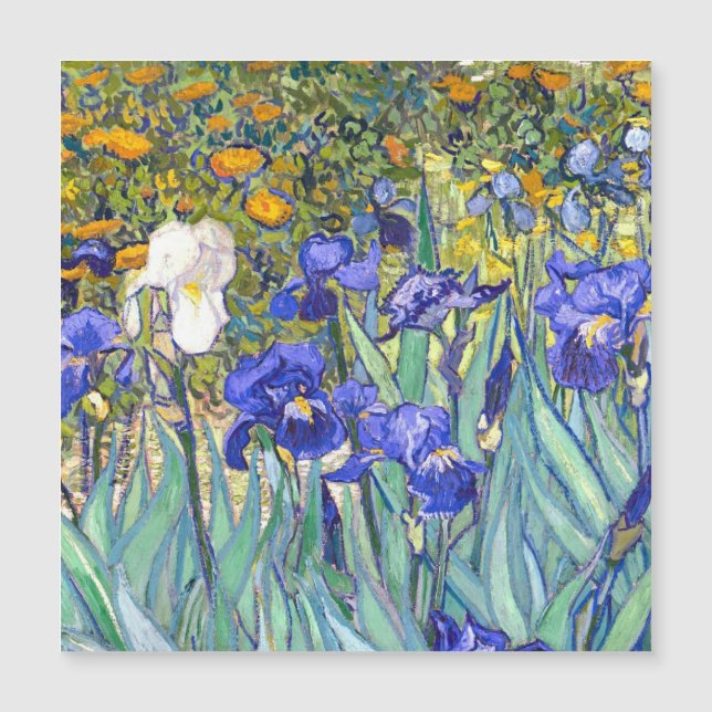 Vincent Van Gogh Irises Bella Artes de cosecha flo (Anverso)