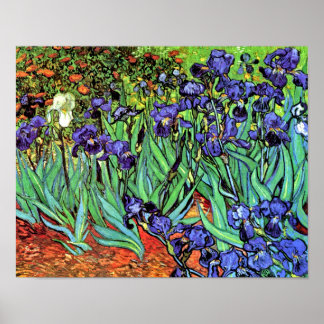 Vincent Van Gogh - Lirios - Flower Lover Arte Fino
