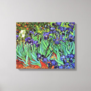 Vincent Van Gogh - Lirios - Flower Lover Arte Fino