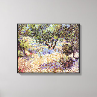 Vincent Van Gogh - Olivar Arte Fino