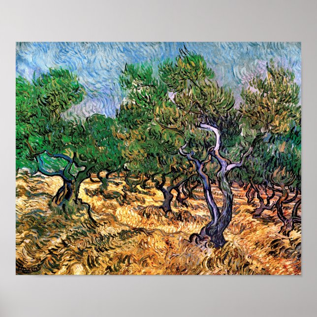 Vincent Van Gogh - Olivar Arte fino (Frente)