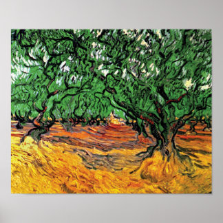Vincent Van Gogh - Olivos Arte Fino