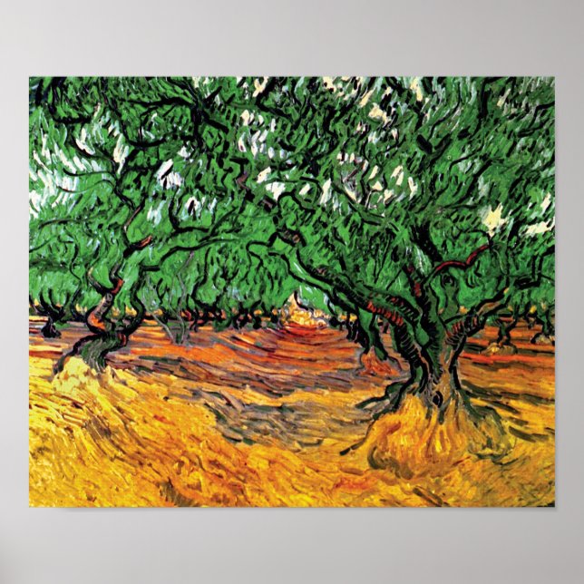 Vincent Van Gogh - Olivos Arte Fino (Frente)