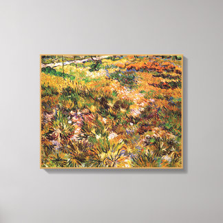 Vincent Van Gogh - Prado en el Jardín Arte Fino