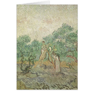 Vincent van Gogh - Recolección de aceitunas