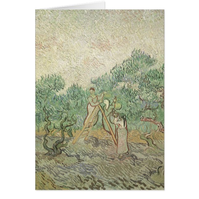Vincent van Gogh - Recolección de aceitunas (Frente)